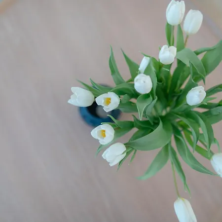 Duenensand Апартаменты Нордерней